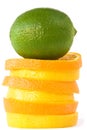 Green lime on slides of oranges and citrons. Royalty Free Stock Photo