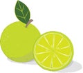 The green lime vector. Royalty Free Stock Photo