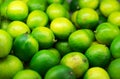 Green limes. Royalty Free Stock Photo