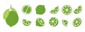 Green limes, sour lime isolated clipart. Cut and half citrus, mojito sliced ingredients. Vitamin fresh foog graphic