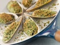 Green Lip Mussel with a Provencale Herb Crust