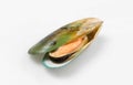 Green lipped mussel Perna canaliculus  elevated view. Royalty Free Stock Photo