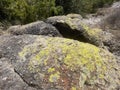 Green Liquens on Rocks Royalty Free Stock Photo