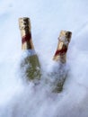 2 green Liqueur bottles buried in the white snow ready for part celebrate season\'s greetings