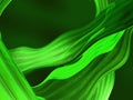 Green liquid 3D abstract Royalty Free Stock Photo