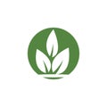 green live logo