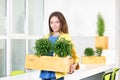 Green living. Attractive young businesswoman standing in modern loft office holding a box with plants. Environmental Royalty Free Stock Photo