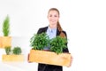 Green living. Attractive young businesswoman standing in modern loft office holding a box with plants. Environmental Royalty Free Stock Photo