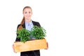 Green living. Attractive young businesswoman standing in modern loft office holding a box with plants. Environmental Royalty Free Stock Photo