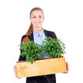 Green living. Attractive young businesswoman standing in modern loft office holding a box with plants. Environmental Royalty Free Stock Photo