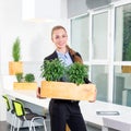 Green living. Attractive young businesswoman standing in modern loft office holding a box with plants. Environmental Royalty Free Stock Photo