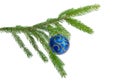 Living spruce branch with blue Christmas ornament on white background