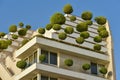 Green living concept, eco building with trees, climate change Royalty Free Stock Photo