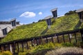 Green Living Roof. Eco Friendly Building Royalty Free Stock Photo