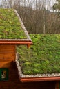 Green living roof on wooden building covered with vegetation Royalty Free Stock Photo
