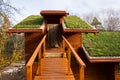 Green living roof on wooden building covered with vegetation Royalty Free Stock Photo