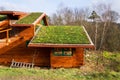 Green living roof on wooden building covered with vegetation Royalty Free Stock Photo