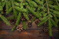 Green living spruce branches on a dark wooden background. New Year`s background with cones. Top view