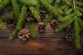 Green living spruce branches on a dark wooden background. New Year`s background with cones. Top view