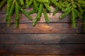 Green living spruce branches on a dark wooden background. New Year`s background. Top view