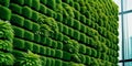 Green living wall with green plants. Eco friendly building wall corporate green office