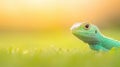 A Green Lizard in Grass Royalty Free Stock Photo