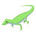 Green lizard icon, isometric style