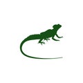 Green lizard icon for web design isolated on white background