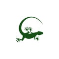 Green lizard icon for web design isolated on white background