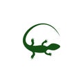 Green lizard icon for web design isolated on white background