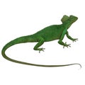 Dinosaur Like Green Lizard 2 Reptiles Isolated, Transparent Background