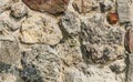 Green lizard sitting on stone wall in sunny day.