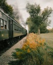 Green locomotive is traveling along railroad tracks through a picturesque field