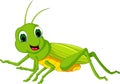 Green locust cartoon Royalty Free Stock Photo