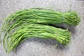 Green long rat-tail radish pods