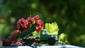 Green lorry with red and pink grapes. Agriculture concept