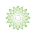 Green lotus flower - symbol of yoga, wellness, beauty and spa. Vector illustration