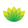 Green lotus icon - wellness beauty and spa theme. Simple