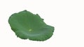 The green lotus leaf that separates the white Royalty Free Stock Photo