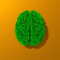 Green low poly 3d render brain illustration