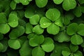 Leaf luck clover nature shamrock close green up