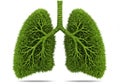 Green lungs illustration on a white background Royalty Free Stock Photo
