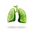 Healthy lungs. Concept Royalty Free Stock Photo
