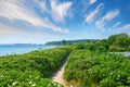 A green lush area surrounded by sea in Denmark on a calm summer day. A scenic view of greenery with a pathway and blue Royalty Free Stock Photo