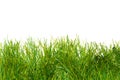Green lush artificial grass Royalty Free Stock Photo