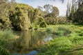 Green and Lush: Gwelup Wetlands