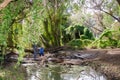 Green and Lush: Gwelup Wetlands