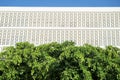 Green lush leaves of trees below the building with masonry screen wall exterior at Miami, Florida Royalty Free Stock Photo