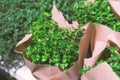 Green lush plants wrapped craft paper in flower market defocused background. Toned nature horizontal