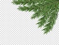 Green lush spruce or pine branch. Fir tree branch isolated on white vector christmas element Royalty Free Stock Photo